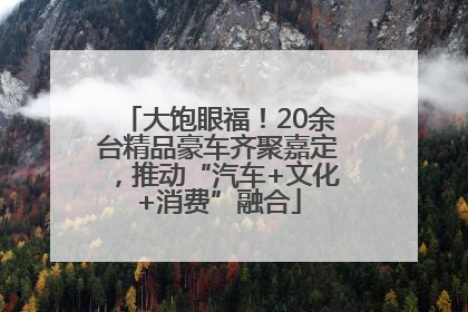 大饱眼福！20余台精品豪车齐聚嘉定，推动“汽车+文化+消费”融合